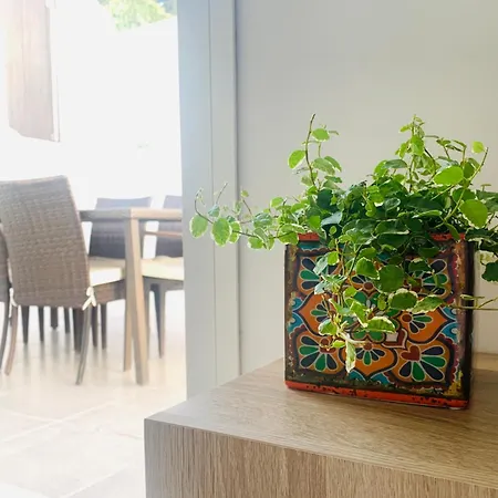 Increible Bajo Con Jardin Y Piscina - Puerto Banus Марбелья