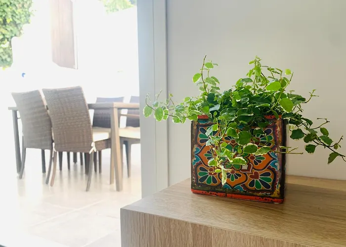 Increible Bajo Con Jardin Y Piscina - Puerto Banus Marbella